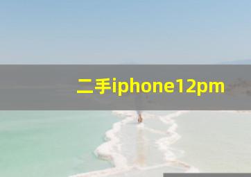 二手iphone12pm