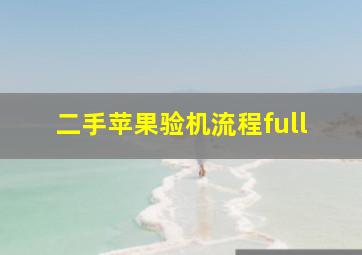 二手苹果验机流程full