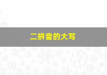 二拼音的大写