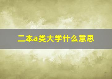 二本a类大学什么意思