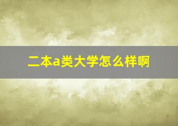 二本a类大学怎么样啊