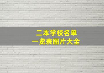 二本学校名单一览表图片大全