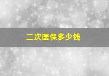 二次医保多少钱