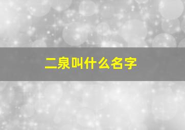 二泉叫什么名字