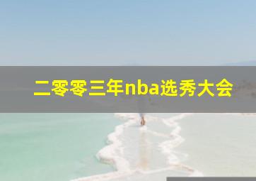 二零零三年nba选秀大会