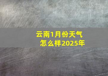 云南1月份天气怎么样2025年