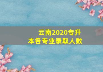 云南2020专升本各专业录取人数