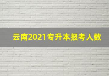 云南2021专升本报考人数