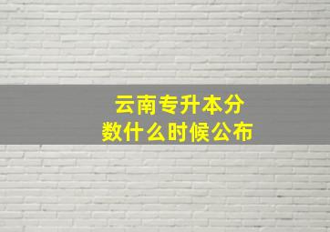 云南专升本分数什么时候公布