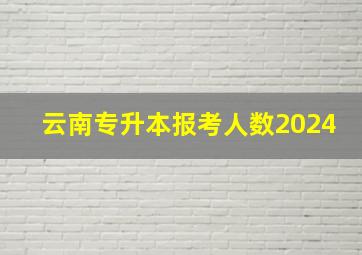 云南专升本报考人数2024