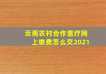 云南农村合作医疗网上缴费怎么交2021