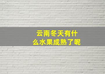 云南冬天有什么水果成熟了呢