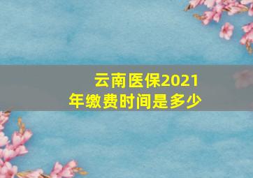 云南医保2021年缴费时间是多少