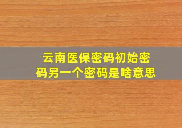 云南医保密码初始密码另一个密码是啥意思