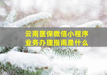 云南医保微信小程序业务办理指南是什么