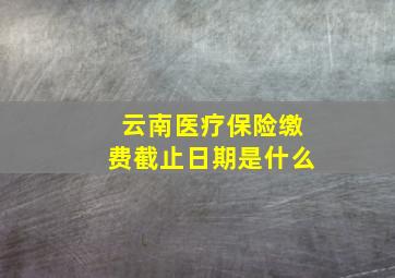 云南医疗保险缴费截止日期是什么