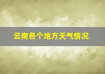 云南各个地方天气情况