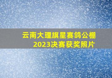 云南大理旗星赛鸽公棚2023决赛获奖照片