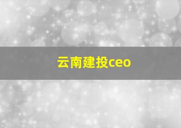 云南建投ceo