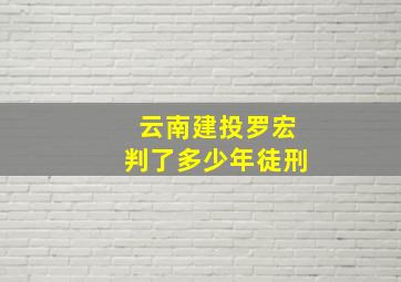 云南建投罗宏判了多少年徒刑