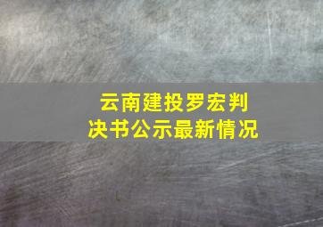 云南建投罗宏判决书公示最新情况