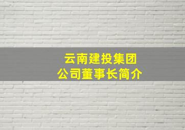 云南建投集团公司董事长简介