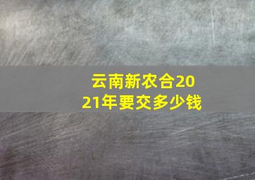 云南新农合2021年要交多少钱