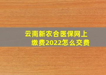 云南新农合医保网上缴费2022怎么交费