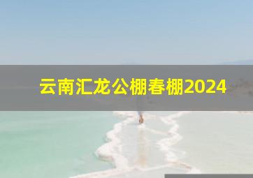 云南汇龙公棚春棚2024