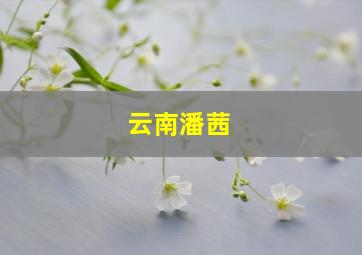 云南潘茜