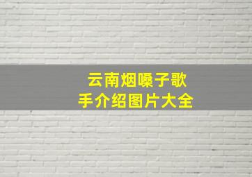 云南烟嗓子歌手介绍图片大全