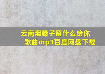 云南烟嗓子留什么给你歌曲mp3百度网盘下载