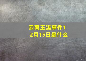 云南玉溪事件12月15日是什么