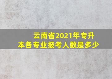 云南省2021年专升本各专业报考人数是多少