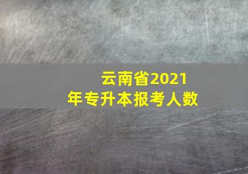 云南省2021年专升本报考人数