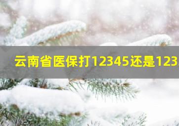 云南省医保打12345还是12333