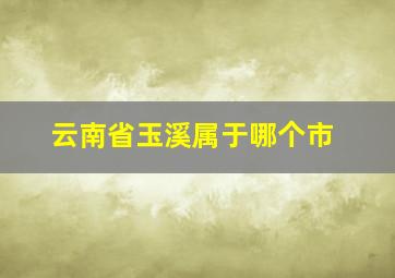 云南省玉溪属于哪个市