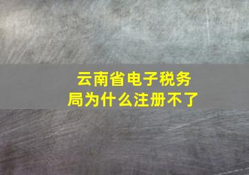 云南省电子税务局为什么注册不了