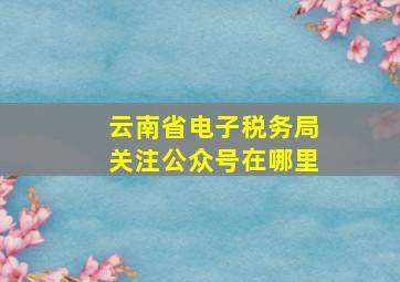 云南省电子税务局关注公众号在哪里