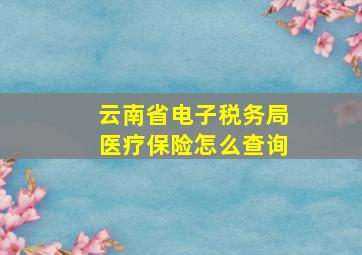 云南省电子税务局医疗保险怎么查询