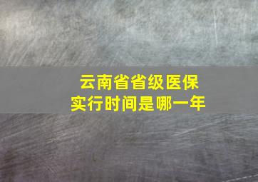 云南省省级医保实行时间是哪一年