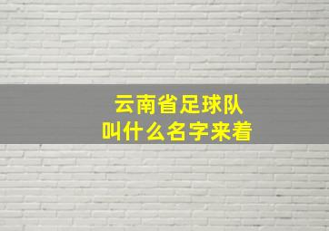 云南省足球队叫什么名字来着