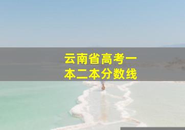 云南省高考一本二本分数线