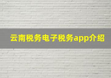 云南税务电子税务app介绍