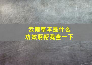 云南草本是什么功效啊帮我查一下