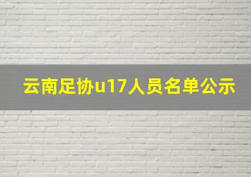 云南足协u17人员名单公示