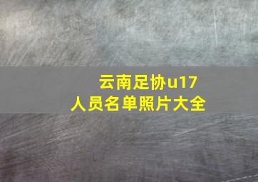 云南足协u17人员名单照片大全