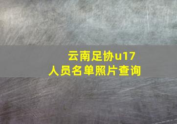 云南足协u17人员名单照片查询