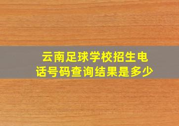 云南足球学校招生电话号码查询结果是多少