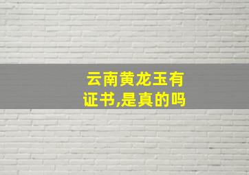 云南黄龙玉有证书,是真的吗